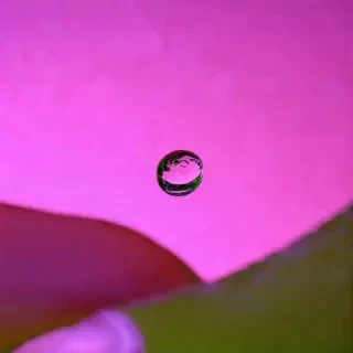 a drop of water inside